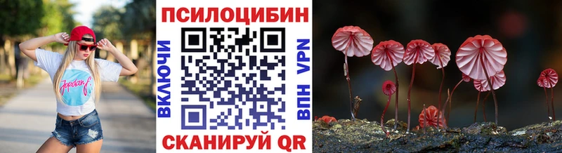 Галлюциногенные грибы мицелий  купить   Орехово-Зуево 
